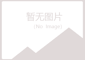 大新县孤丝能源有限公司